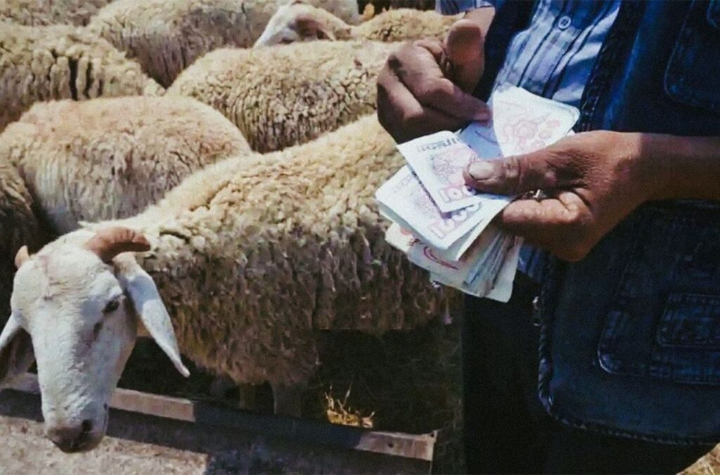 L'impact de l'importation de viande sur le marché local