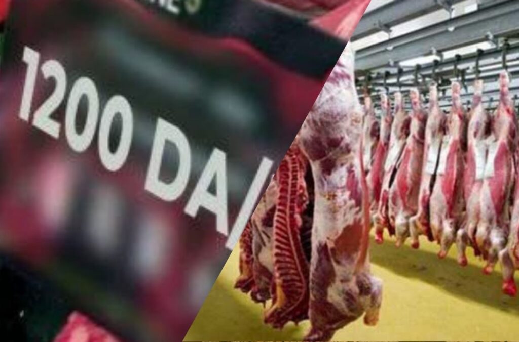 Prix de la viande rouge importée entre 1200 et 1300 DA/kg