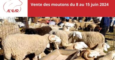 ALVIAR lance la vente des moutons