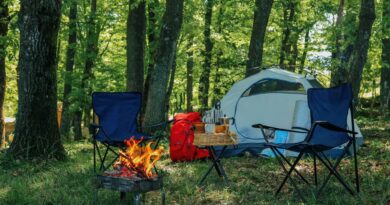 L'Algérie interdit les barbecues en forêts