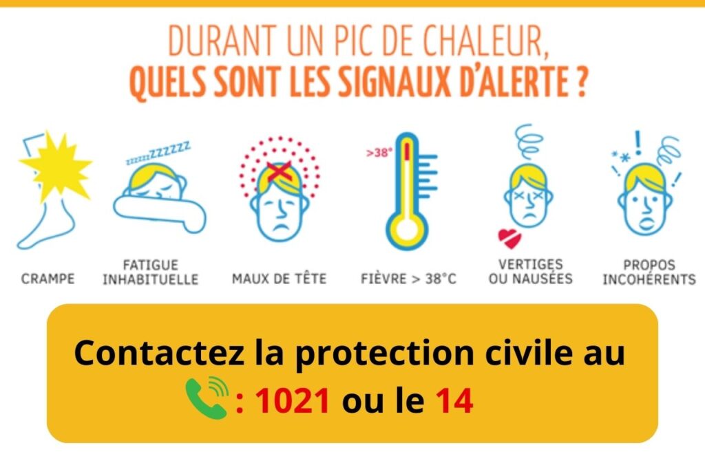 Les gestes en période de canicule