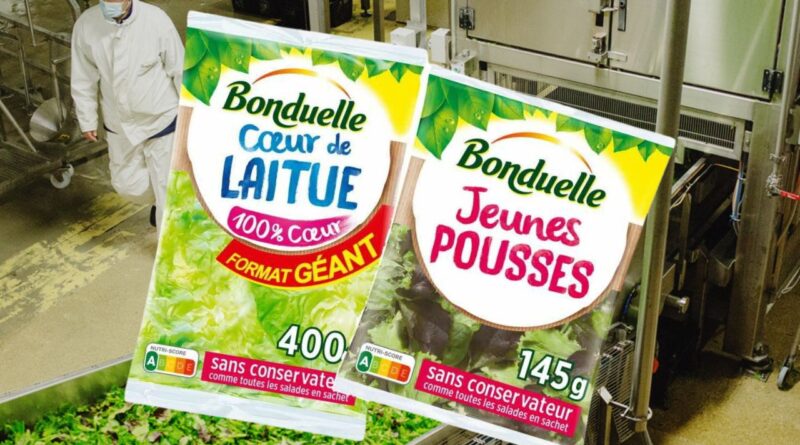 salades en sachet Bonduelle